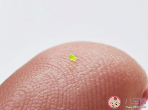 比鹽粒還小的手提包賣出46.2萬是真的嗎 為什么這款包包這么貴