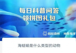 海蛞蝓是什么類型的動物 神奇海洋6月30日答案