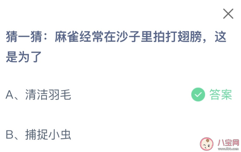 麻雀經常在沙子里拍打翅膀這是為了 螞蟻莊園7月4日答案介紹