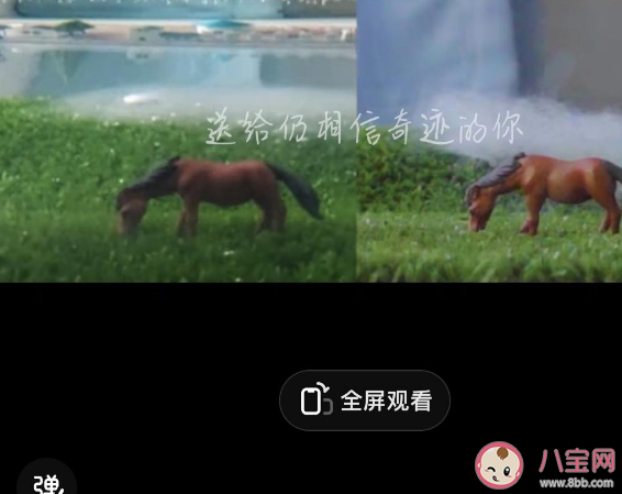 女生用一個(gè)魚缸做出海市蜃樓 是如何用魚缸做出海市蜃樓的