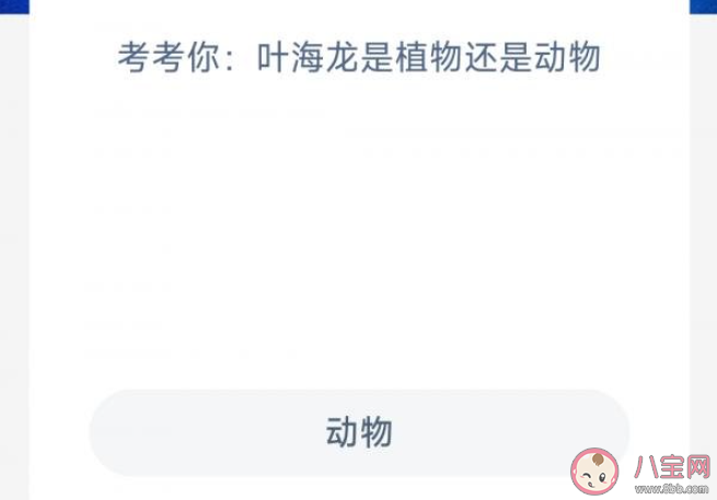 葉海龍是植物還是動物 神奇海洋7月7日答案 葉海龍是植物還是動物 神奇海洋7月7日答案