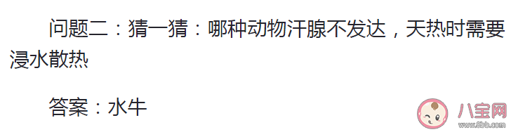 哪種動(dòng)物汗腺不發(fā)達(dá)天熱時(shí)需要浸水散熱 螞蟻莊園7月8日答案 哪種動(dòng)物汗腺不發(fā)達(dá)天熱時(shí)需要浸水散熱 螞蟻莊園7月8日答案