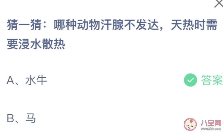 螞蟻莊園哪種動物汗腺不發達天熱時需要浸水散熱 7月8日答案 螞蟻莊園哪種動物汗腺不發達天熱時需要浸水散熱 7月8日答案