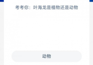 葉海龍是植物還是動物 神奇海洋7月7日答案