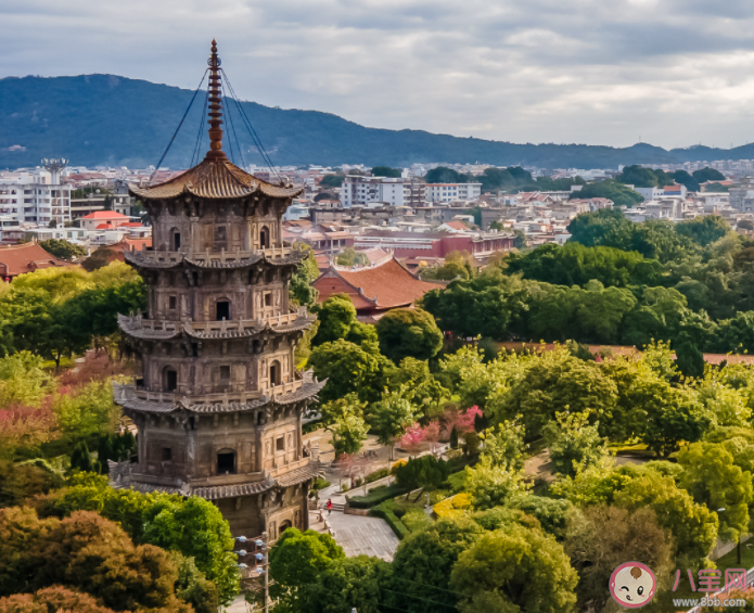 以下哪個是我國歷史文化名城泉州的別稱 螞蟻莊園7月9日答案 以下哪個是我國歷史文化名城泉州的別稱 螞蟻莊園7月9日答案