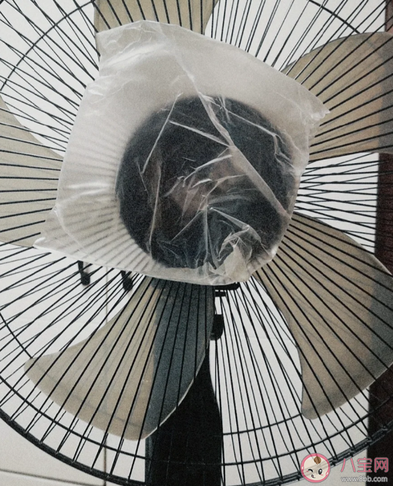 電風(fēng)扇葉片為什么是單數(shù) 風(fēng)扇葉片選多少比較好