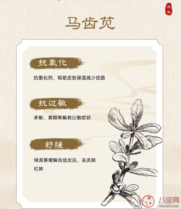 馬齒莧是敏感肌救星嗎 敏感肌用什么護膚品好 馬齒莧是敏感肌救星嗎 敏感肌用什么護膚品好