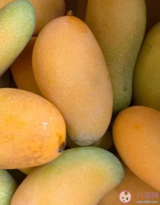 為什么超市里的芒果是熱的 芒果怎么保存比較好 為什么超市里的芒果是熱的 芒果怎么保存比較好