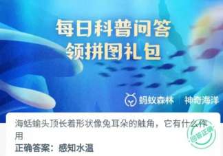 海蛤螂頭頂長著形狀像兔耳朵的觸角它有什么作用 神奇海洋7月8日答案