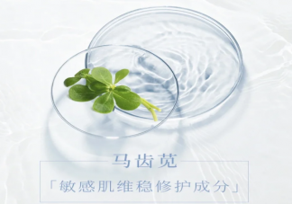 馬齒莧是敏感肌救星嗎 馬齒莧有什么功效作用