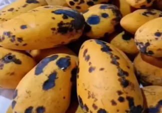 有黑斑的芒果不能吃嗎 黑絲芒果可以吃嗎