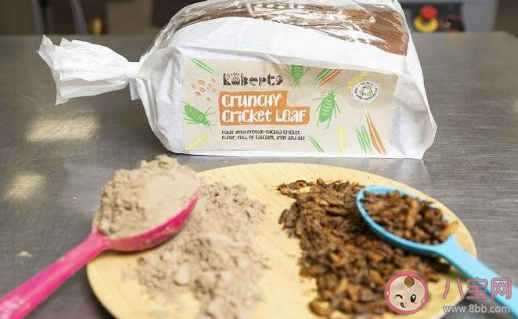 意大利做出蟋蟀面粉 你能接受蟋蟀成為食物嗎