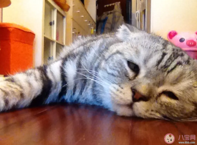 困得時(shí)候喝點(diǎn)冰的能提神嗎 下午很困該怎么辦