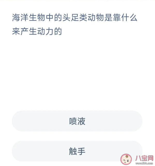 海洋生物中的頭足類動物是靠什么來產生動力的 螞蟻森林神奇海洋7月11日答案 海洋生物中的頭足類動物是靠什么來產生動力的 螞蟻森林神奇海洋7月11日答案