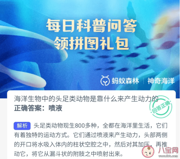 海洋生物中的頭足類動物是靠什么來產生動力的 螞蟻森林神奇海洋7月11日答案 海洋生物中的頭足類動物是靠什么來產生動力的 螞蟻森林神奇海洋7月11日答案