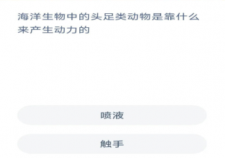 海洋生物中的頭足類(lèi)動(dòng)物是靠什么來(lái)產(chǎn)生動(dòng)力的 螞蟻森林神奇海洋7月11日答案