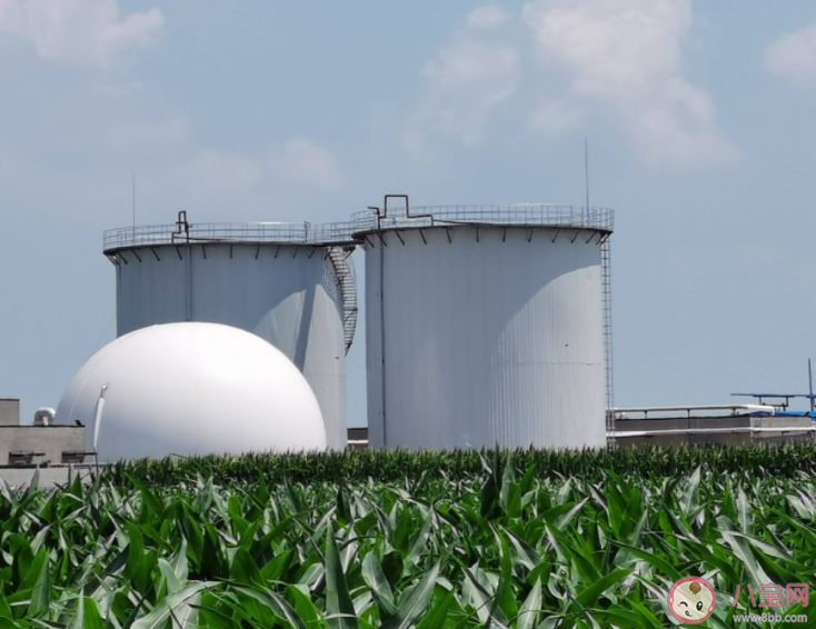 云南永善6名村民因沼氣中毒身亡 沼氣使用需要注意些什么