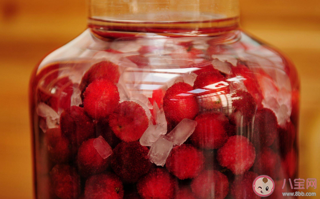 喝楊梅酒的人為什么變少了 泡楊梅酒要注意什么