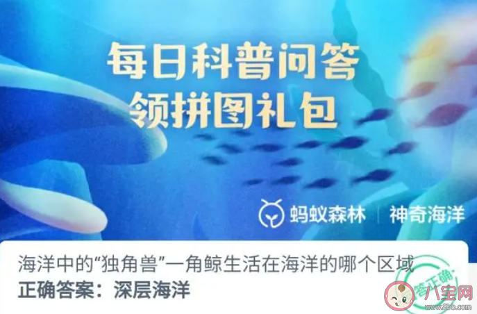?海洋中的獨角獸角鯨生活在海洋的哪個區域 神奇海洋7月15日答案