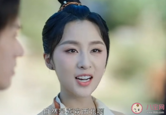 《安樂傳》安寧結局是什么 安寧和帝梓元是什么關系