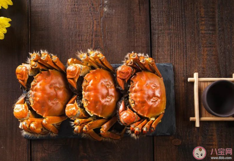 螃蟹斷掉的腿還能重新長出來嗎 神奇海洋7月18日答案 螃蟹斷掉的腿還能重新長出來嗎 神奇海洋7月18日答案