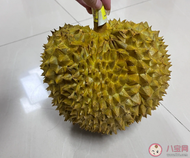 榴蓮價格跌至全年最低 如何挑選到一顆優(yōu)質(zhì)的榴蓮 榴蓮價格跌至全年最低 如何挑選到一顆優(yōu)質(zhì)的榴蓮