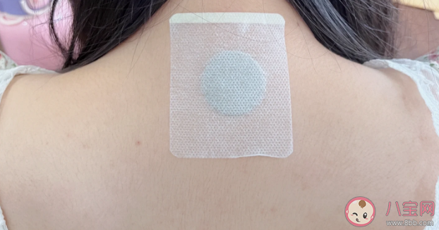 三伏貼減肥法有效果嗎 為什么要在夏天貼三伏貼 三伏貼減肥法有效果嗎 為什么要在夏天貼三伏貼