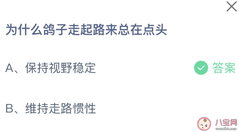 為什么鴿子走起路來總在點頭 螞蟻莊園7月20日答案 為什么鴿子走起路來總在點頭 螞蟻莊園7月20日答案