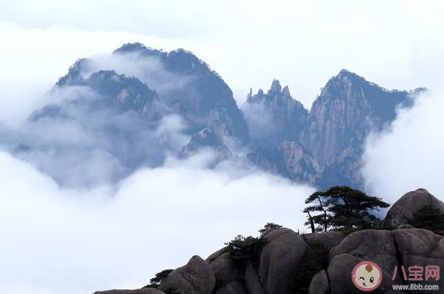 黃山為什么不提倡沖方便面 如何看待黃山禁售方便面 黃山為什么不提倡沖方便面 如何看待黃山禁售方便面