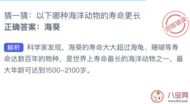 猜一猜以下哪種海洋動(dòng)物的壽命更長(zhǎng) 神奇海洋7月21日答案