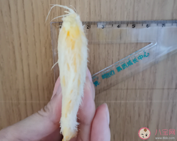 年輕人給芒果核梳毛被指不務(wù)正業(yè) 年輕人為什么喜歡給芒果核梳毛 年輕人給芒果核梳毛被指不務(wù)正業(yè) 年輕人為什么喜歡給芒果核梳毛