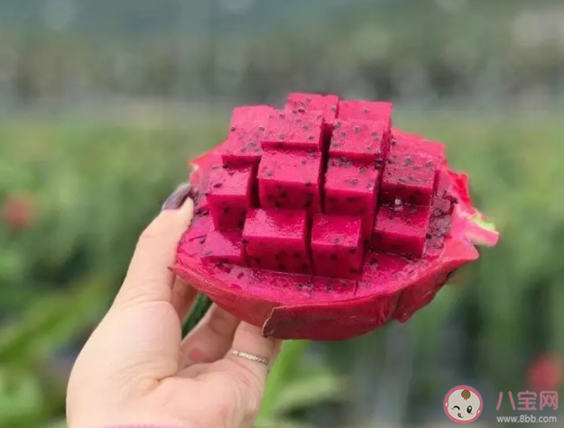 糖尿病人能吃火龍果嗎 火龍果哪些人不能吃 糖尿病人能吃火龍果嗎 火龍果哪些人不能吃