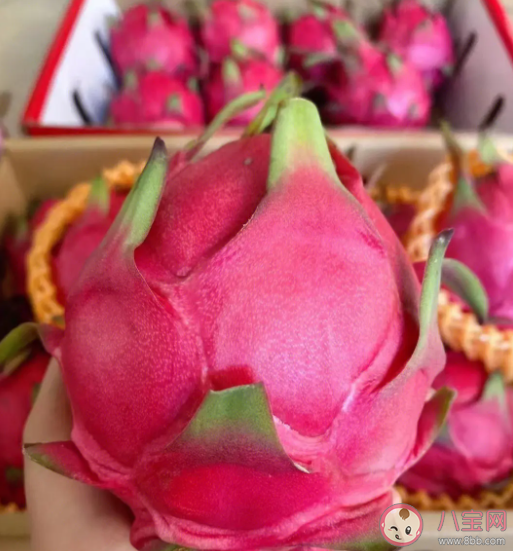 糖尿病人能吃火龍果嗎 火龍果哪些人不能吃 糖尿病人能吃火龍果嗎 火龍果哪些人不能吃