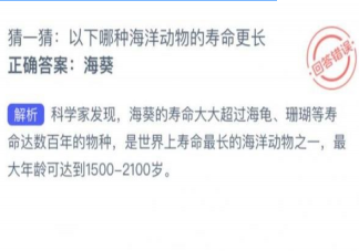 猜一猜以下哪種海洋動物的壽命更長 神奇海洋7月21日答案