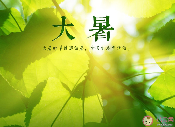 大暑不暑五谷不鼓意思是大暑如果氣溫雨量不夠會怎樣 螞蟻莊園7月23日答案 大暑不暑五谷不鼓意思是大暑如果氣溫雨量不夠會怎樣 螞蟻莊園7月23日答案