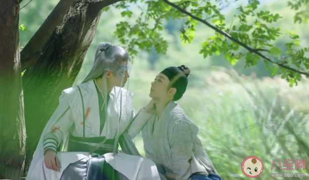 《長相思》人物關系介紹 小夭四對cp結局是什么