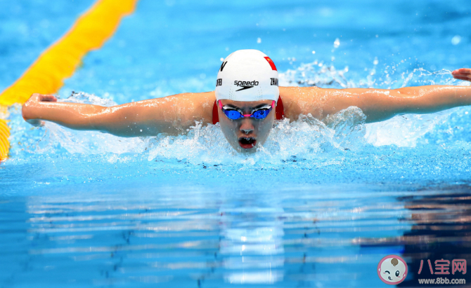 以下哪種游泳姿勢又被稱為海豚泳 螞蟻莊園7月25日答案解析 以下哪種游泳姿勢又被稱為海豚泳 螞蟻莊園7月25日答案解析