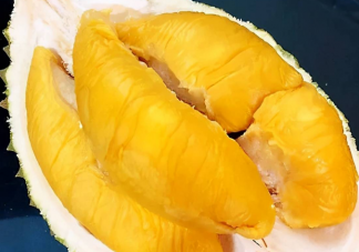 水果之王榴蓮與我國歷史上的哪位航海家有關 螞蟻莊園7月25日答案