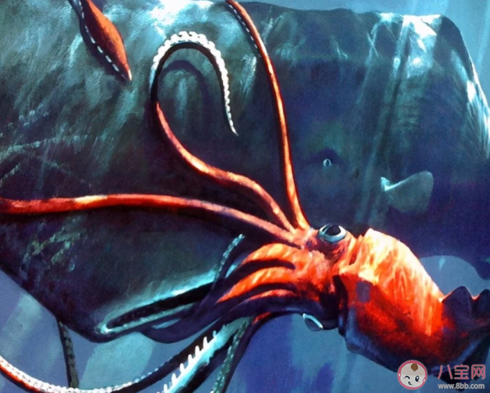 以下哪種海洋生物是世界上最大的無脊椎動物 神奇海洋7月25日答案 以下哪種海洋生物是世界上最大的無脊椎動物 神奇海洋7月25日答案