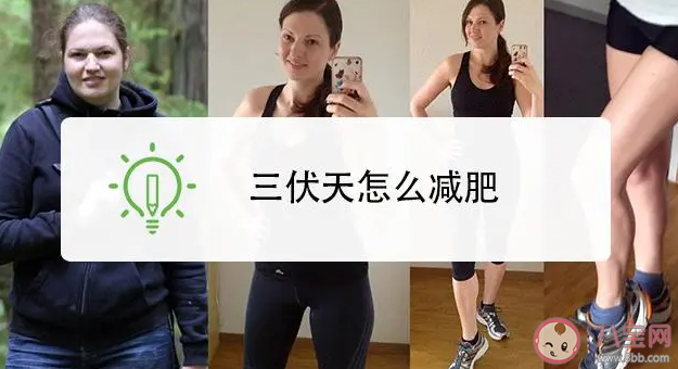 三伏天為什么適合減肥 過了三伏天減肥就變慢了嗎