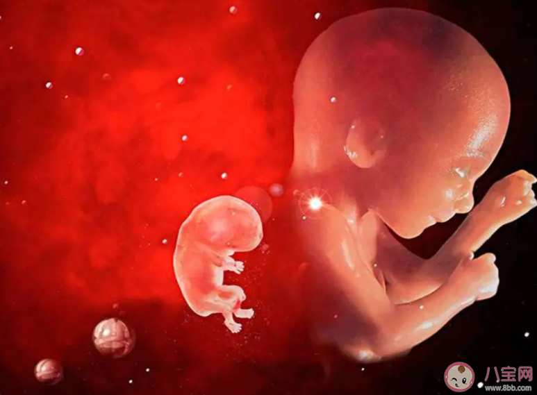 肚子里的寶寶與媽媽搶營養是因爸爸嗎 胎兒是如何獲取營養的