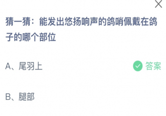 螞蟻莊園鴿哨佩戴在鴿子的哪個部位 小課堂7月26日答案