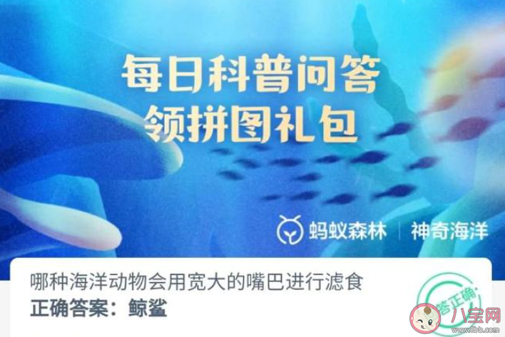哪種海洋動物會用寬大的嘴巴進行濾食 神奇海洋7月26日答案 哪種海洋動物會用寬大的嘴巴進行濾食 神奇海洋7月26日答案