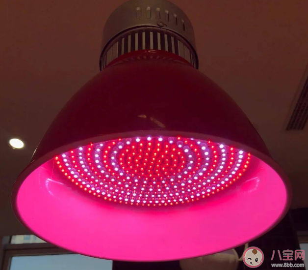 被禁生鮮燈淘寶商家月銷4000+ 生鮮燈為什么被禁用 被禁生鮮燈淘寶商家月銷4000+ 生鮮燈為什么被禁用