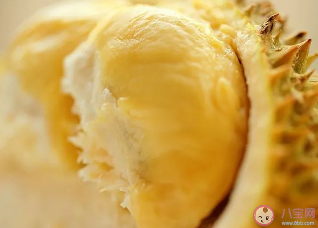 國產(chǎn)榴蓮上市預(yù)計產(chǎn)量多少 國產(chǎn)榴蓮口感怎么樣 國產(chǎn)榴蓮上市預(yù)計產(chǎn)量多少 國產(chǎn)榴蓮口感怎么樣