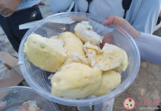 國產(chǎn)榴蓮上市預(yù)計產(chǎn)量多少 國產(chǎn)榴蓮口感怎么樣 國產(chǎn)榴蓮上市預(yù)計產(chǎn)量多少 國產(chǎn)榴蓮口感怎么樣