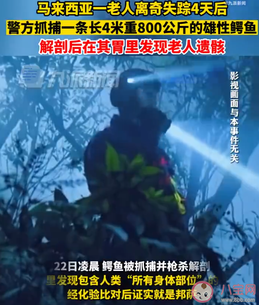 老人失蹤4天在鱷魚胃中發現遺骸 鱷魚會吃人嗎 老人失蹤4天在鱷魚胃中發現遺骸 鱷魚會吃人嗎