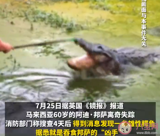 老人失蹤4天在鱷魚胃中發現遺骸 鱷魚會吃人嗎 老人失蹤4天在鱷魚胃中發現遺骸 鱷魚會吃人嗎