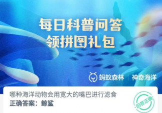 哪種海洋動(dòng)物會(huì)用寬大的嘴巴進(jìn)行濾食 神奇海洋7月26日答案