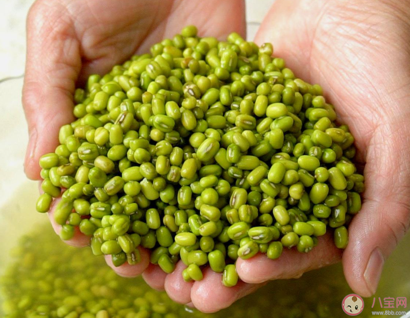 生活中哪種常見食材被古人稱為濟世之良谷 螞蟻莊園7月28日答案介紹